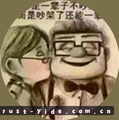 赵雪